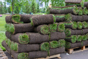 sod and turf